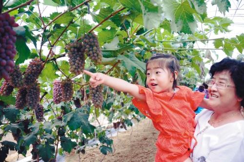 辽中县医疗保障局领导团队及其医疗保障工作概览